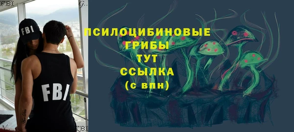 не бодяженный Гусь-Хрустальный