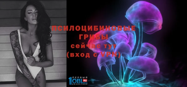 не бодяженный Гусь-Хрустальный
