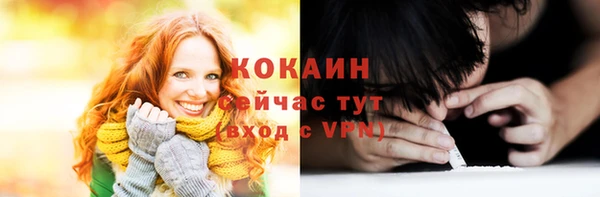 дурь Гусев