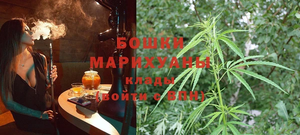 дурь Гусев