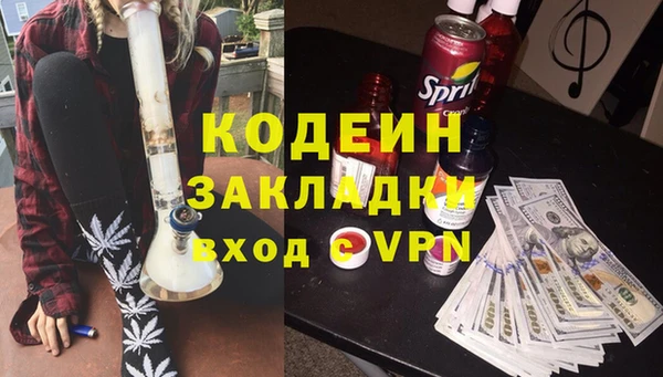 дурь Гусев