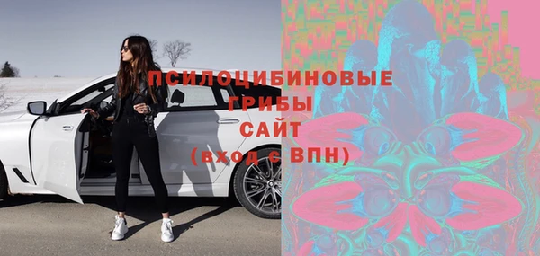 прущие крисы Гусиноозёрск