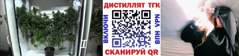 Дистиллят ТГК концентрат  Купить где  Медвежьегорск 