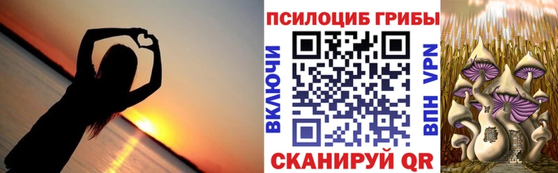 Купить закладки  Медвежьегорск  Галлюциногенные грибы мухоморы 